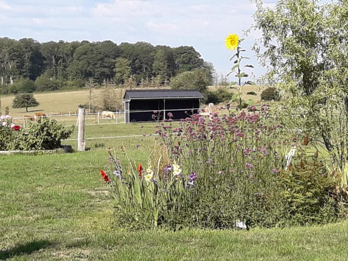 Gite La Besse, Claudon 外观 照片
