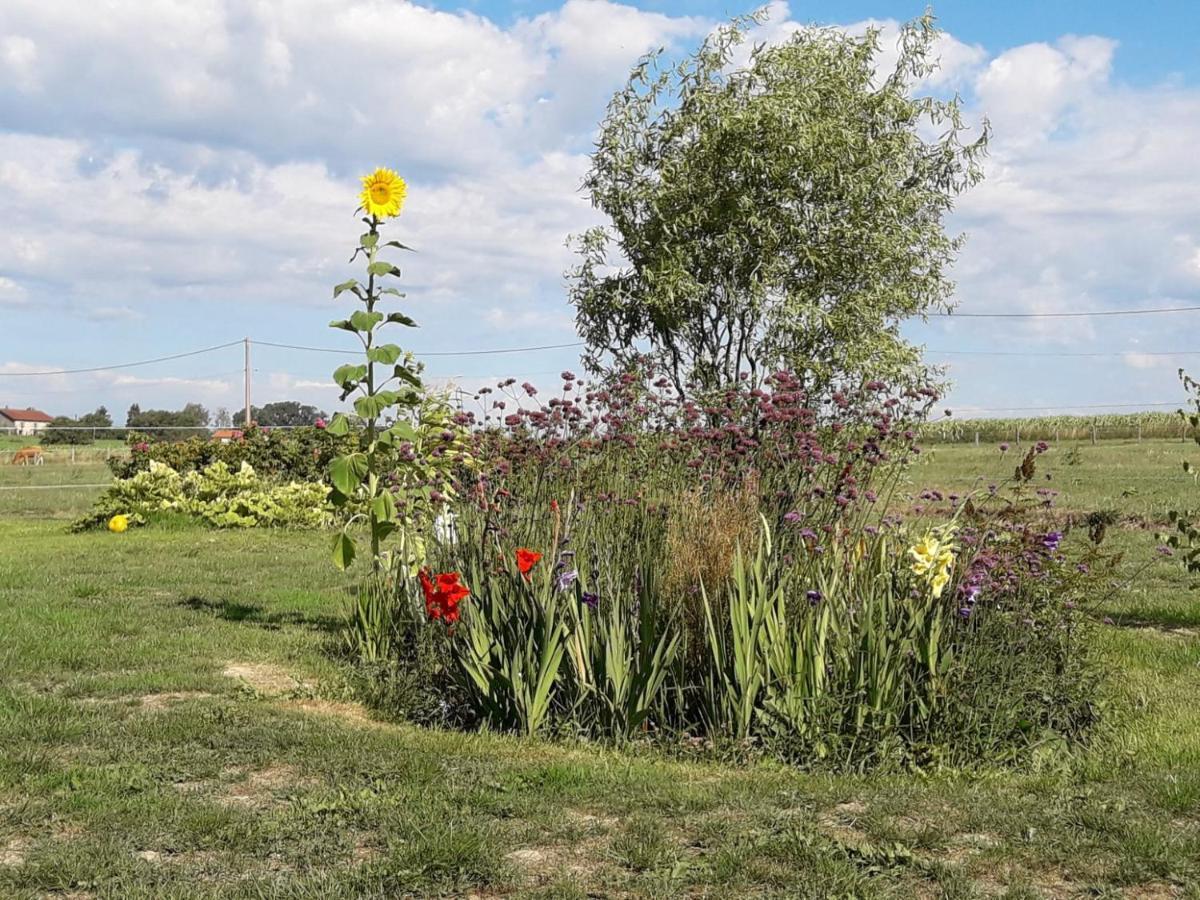 Gite La Besse, Claudon 外观 照片